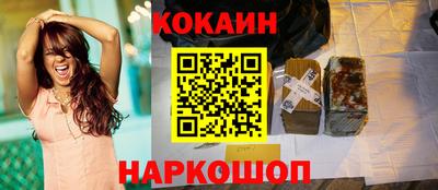 шишки Гатчина