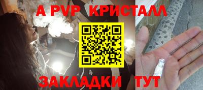 шишки Гатчина