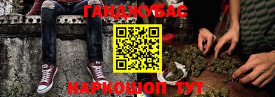 шишки Гатчина