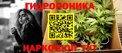 метадон Гай
