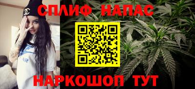 метадон Гай