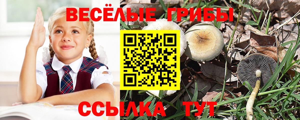 Галлюциногенные грибы GOLDEN TEACHER Минеральные Воды